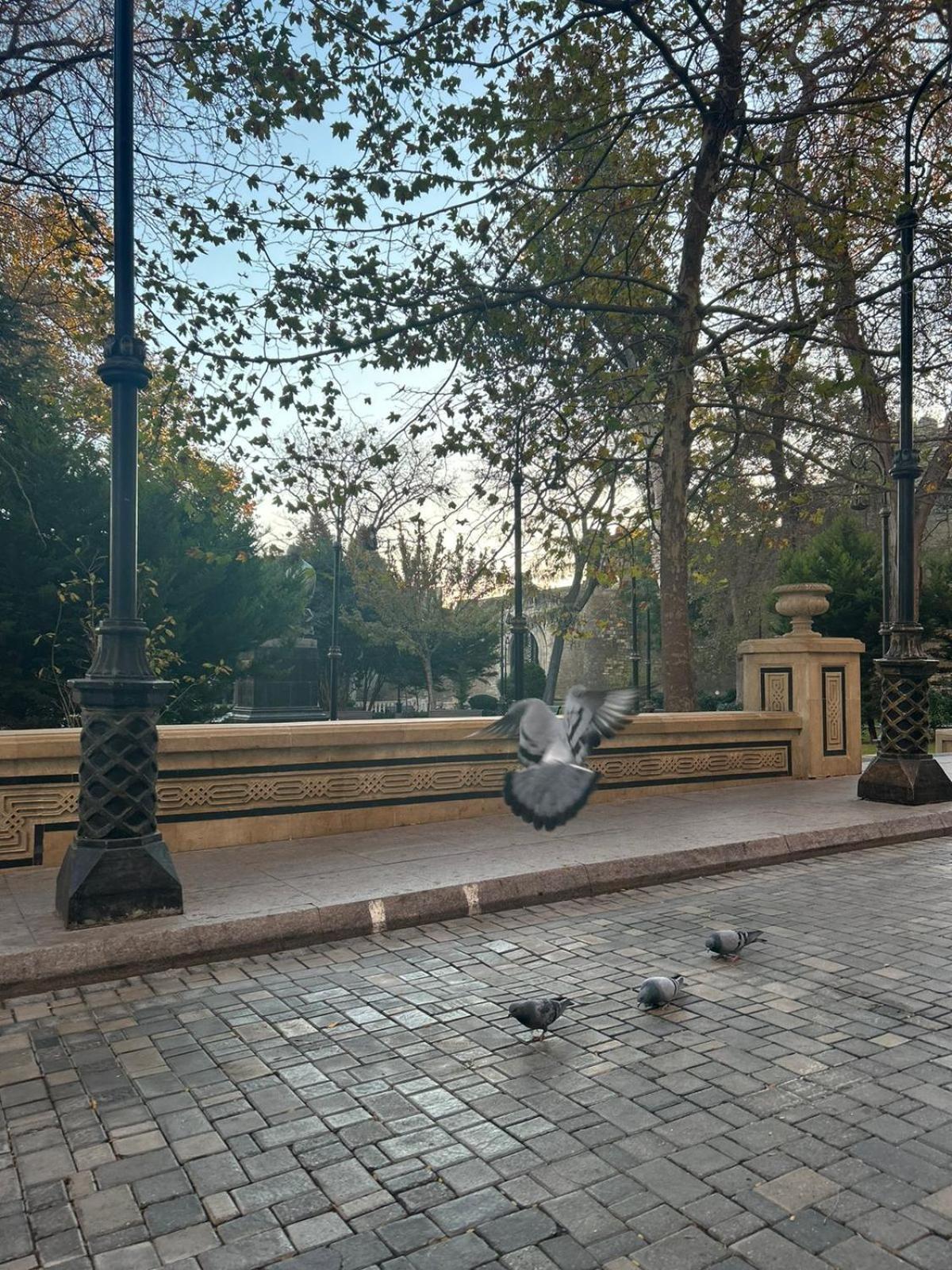 Hostel124 Baku Exteriör bild